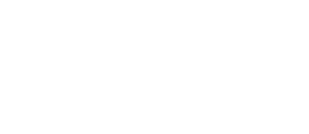 logo wt